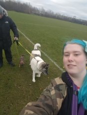 50094322_501401110268375_7778765907173572608_n