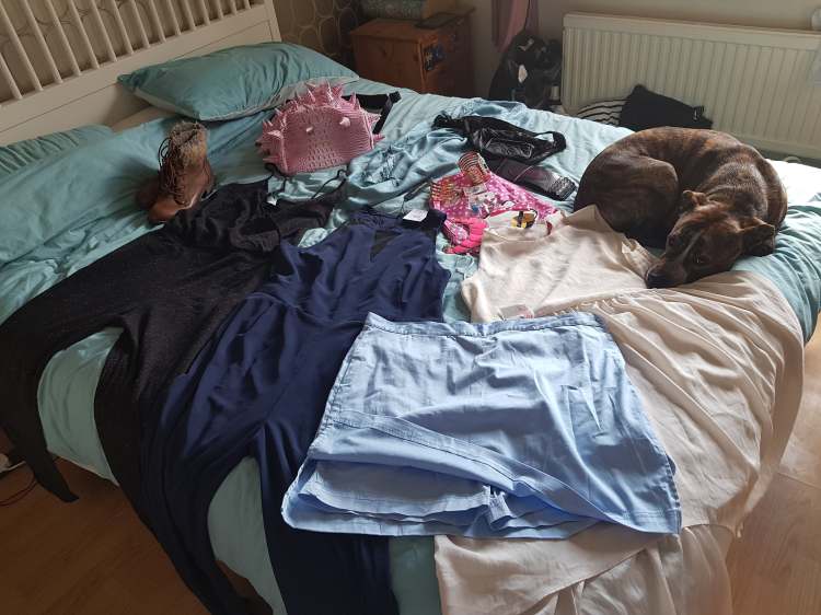 586 696 15 _ 22375 11 16 89 894 803 _ 586 4570 202 19 13 34 34 _ n. Jpg